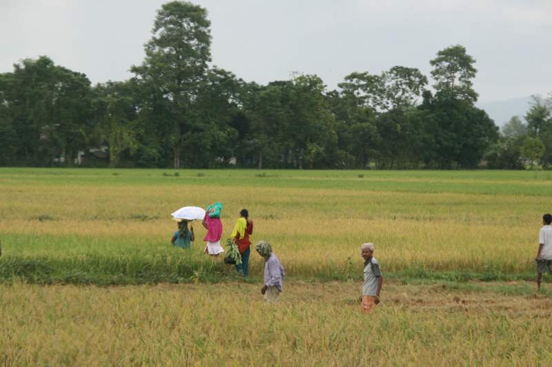India & Nepal 2011 - 0526